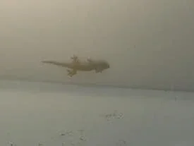 Naman Retreat Resort