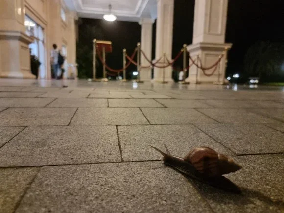 Se acercaba la hora acordada de las 9, así que tomé el transporte de las 8:30 y regresé al alojamiento.