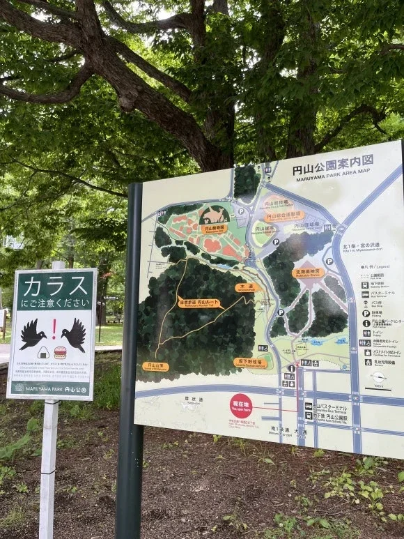 Maruyama Zoo