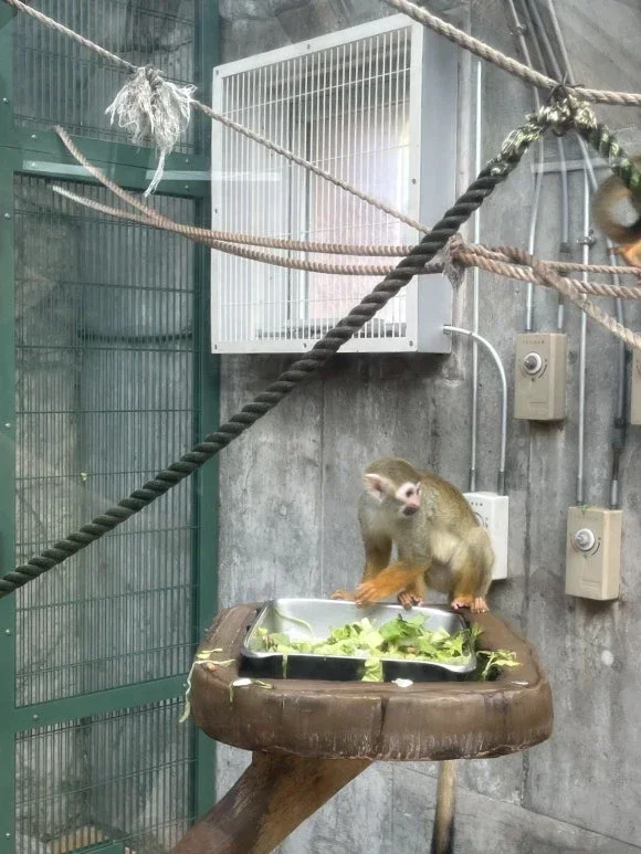 Maruyama Zoo