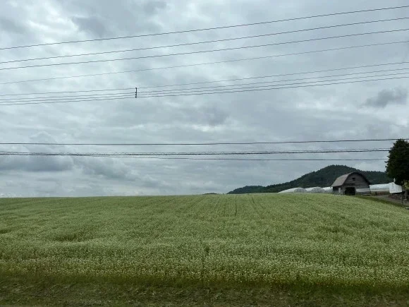 Masaya