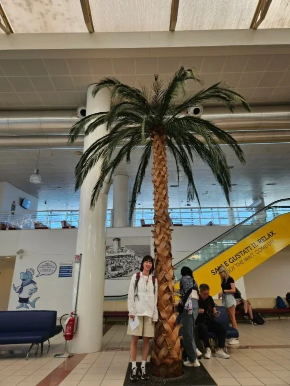 萨博纳码头