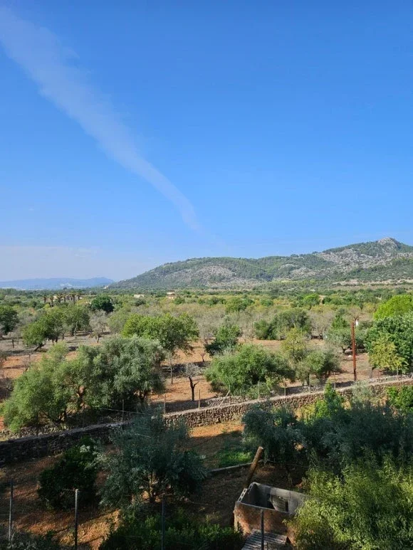 Tren de Sóller