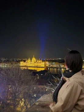 Budapest Ferris Wheel