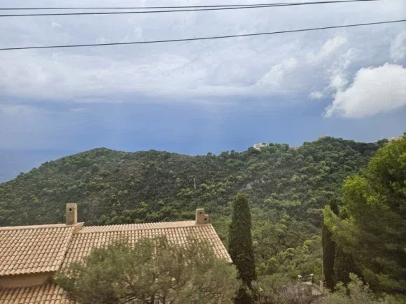 On the way to Monaco