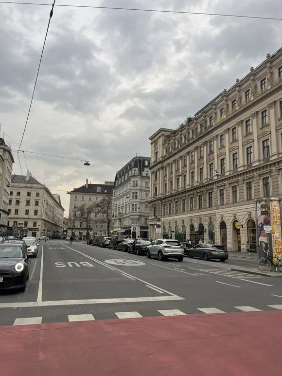 Viena