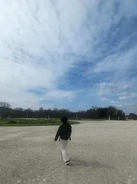 Palacio de Schönbrunn