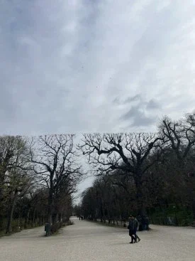 Palacio de Schönbrunn