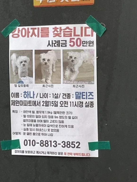 Maison de Tofu Neuf Frères